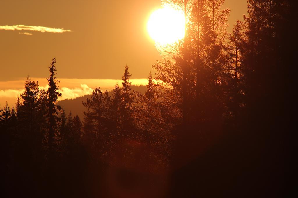 Trysilfjellet Leilighetshotell Pokój zdjęcie